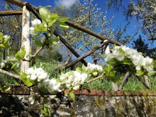 Outdoor Pictures 22