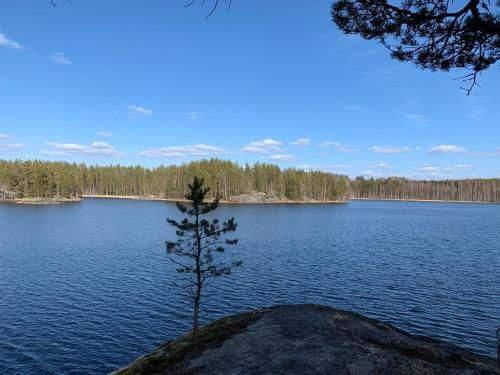 Outdoor Pictures 15