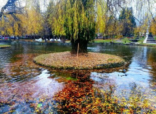 Outdoor Pictures 21