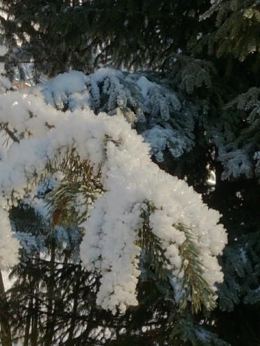 Outdoor Pictures 15