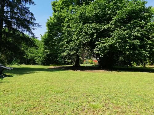 Outdoor Pictures 15