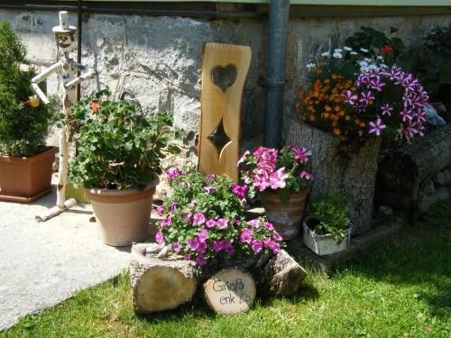 Outdoor Pictures 9