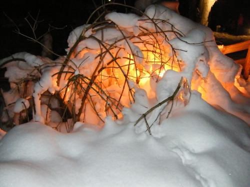 Outdoor Pictures 15