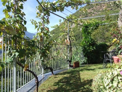 Outdoor Pictures 8