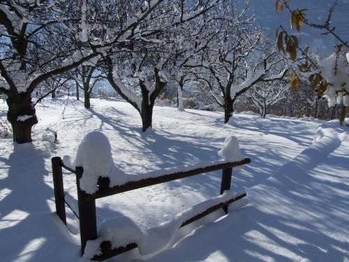Outdoor Pictures 13