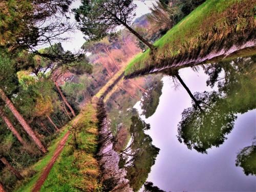 Outdoor Pictures 7
