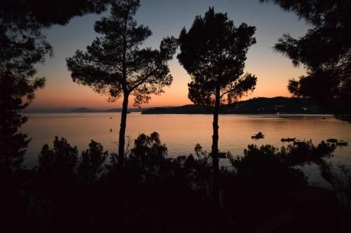 Outdoor Pictures 17