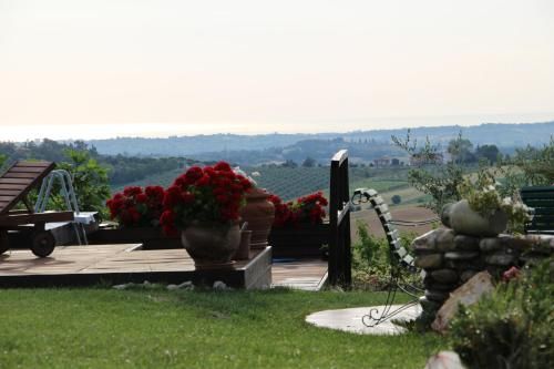 Outdoor Pictures 12