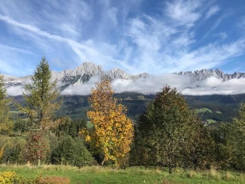 Outdoor Pictures 23
