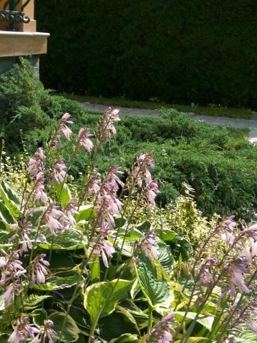 Outdoor Pictures 16