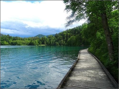 Outdoor Pictures 7