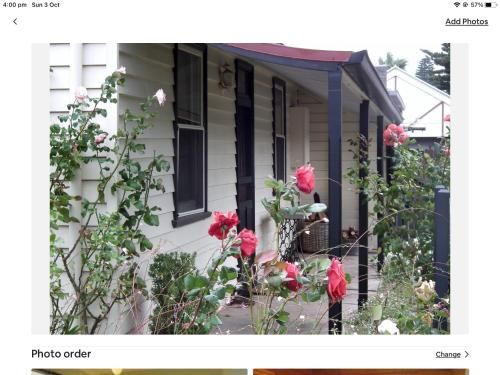 Outdoor Pictures 1