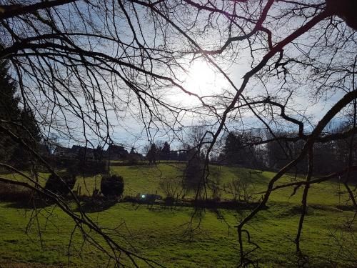 Outdoor Pictures 12