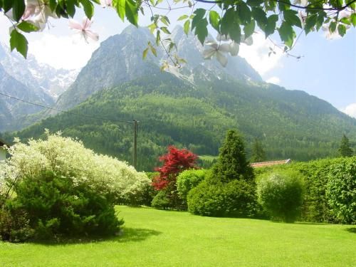 Outdoor Pictures 15