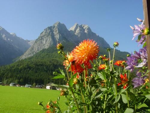Outdoor Pictures 16