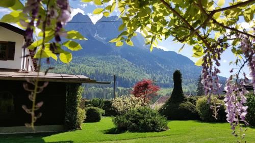 Outdoor Pictures 21