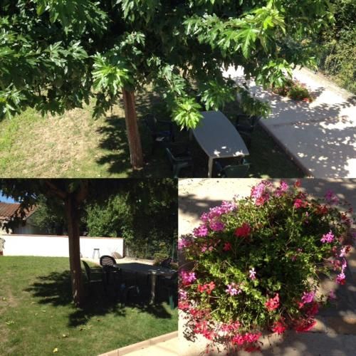 Outdoor Pictures 5