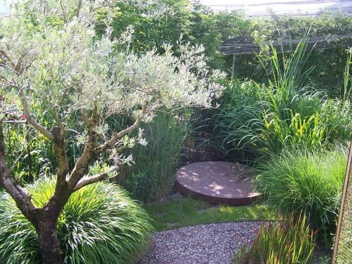 Outdoor Pictures 15