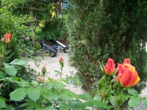 Outdoor Pictures 24