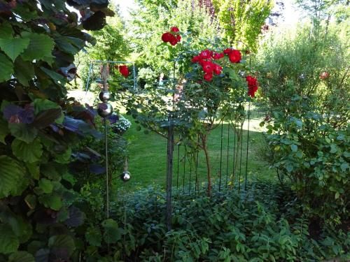 Outdoor Pictures 15