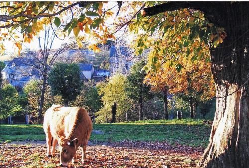 Outdoor Pictures 20