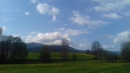 Outdoor Pictures 13