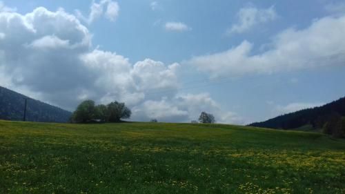Outdoor Pictures 16