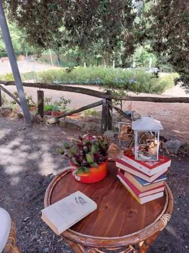 Outdoor Pictures 9
