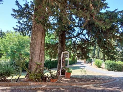 Outdoor Pictures 22