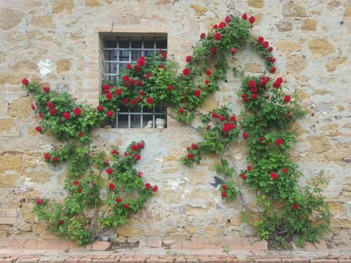 Outdoor Pictures 24