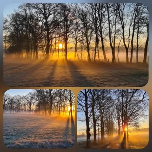 Outdoor Pictures 17
