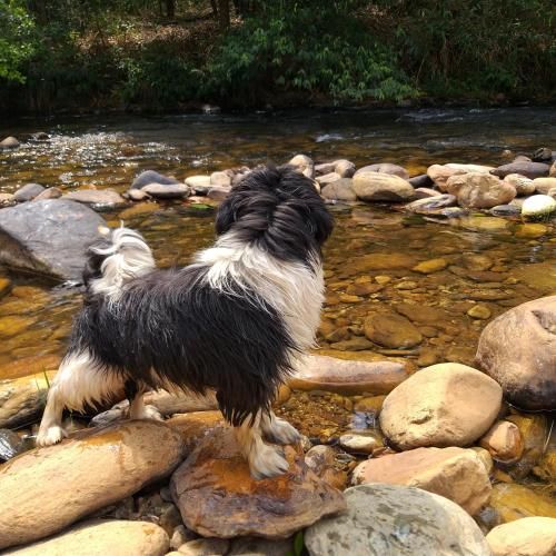 Outdoor Pictures 9
