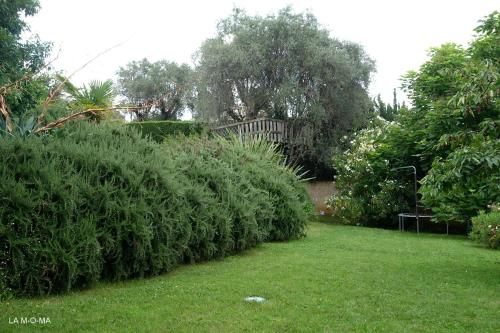 Outdoor Pictures 9