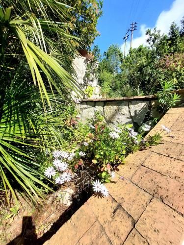 Outdoor Pictures 24