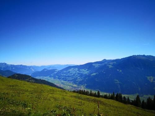 Outdoor Pictures 11