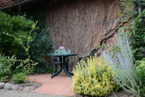 Outdoor Pictures 13