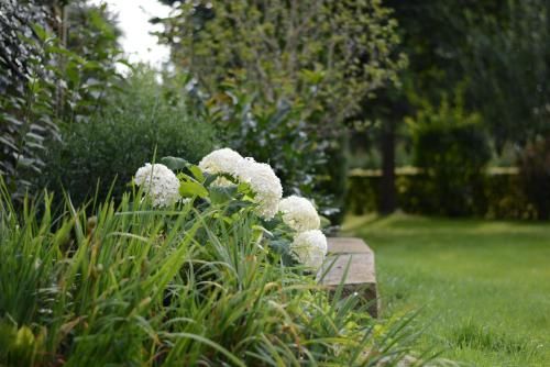 Outdoor Pictures 14