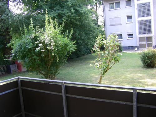Outdoor Pictures 21