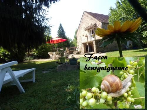 Outdoor Pictures 1