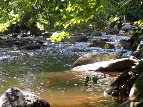 Outdoor Pictures 7