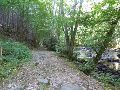 Outdoor Pictures 24
