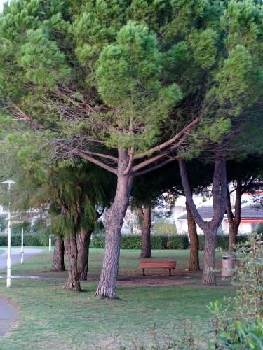 Outdoor Pictures 24