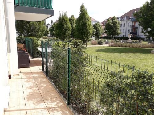Outdoor Pictures 7