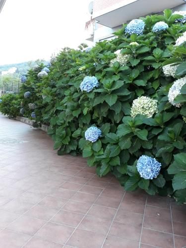 Outdoor Pictures 3