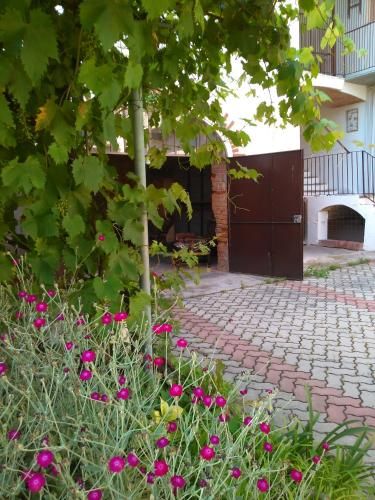 Outdoor Pictures 21