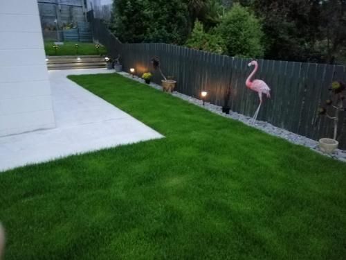 Outdoor Pictures 6