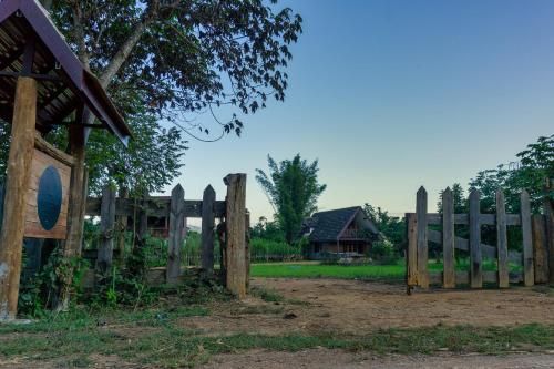 Outdoor Pictures 22