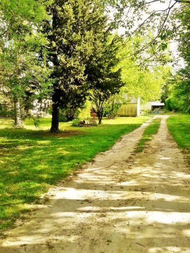 Outdoor Pictures 16
