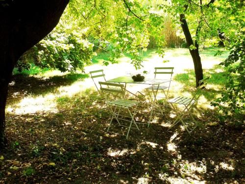 Outdoor Pictures 24