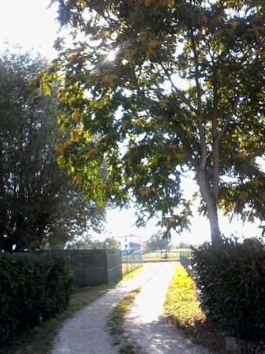 Outdoor Pictures 3